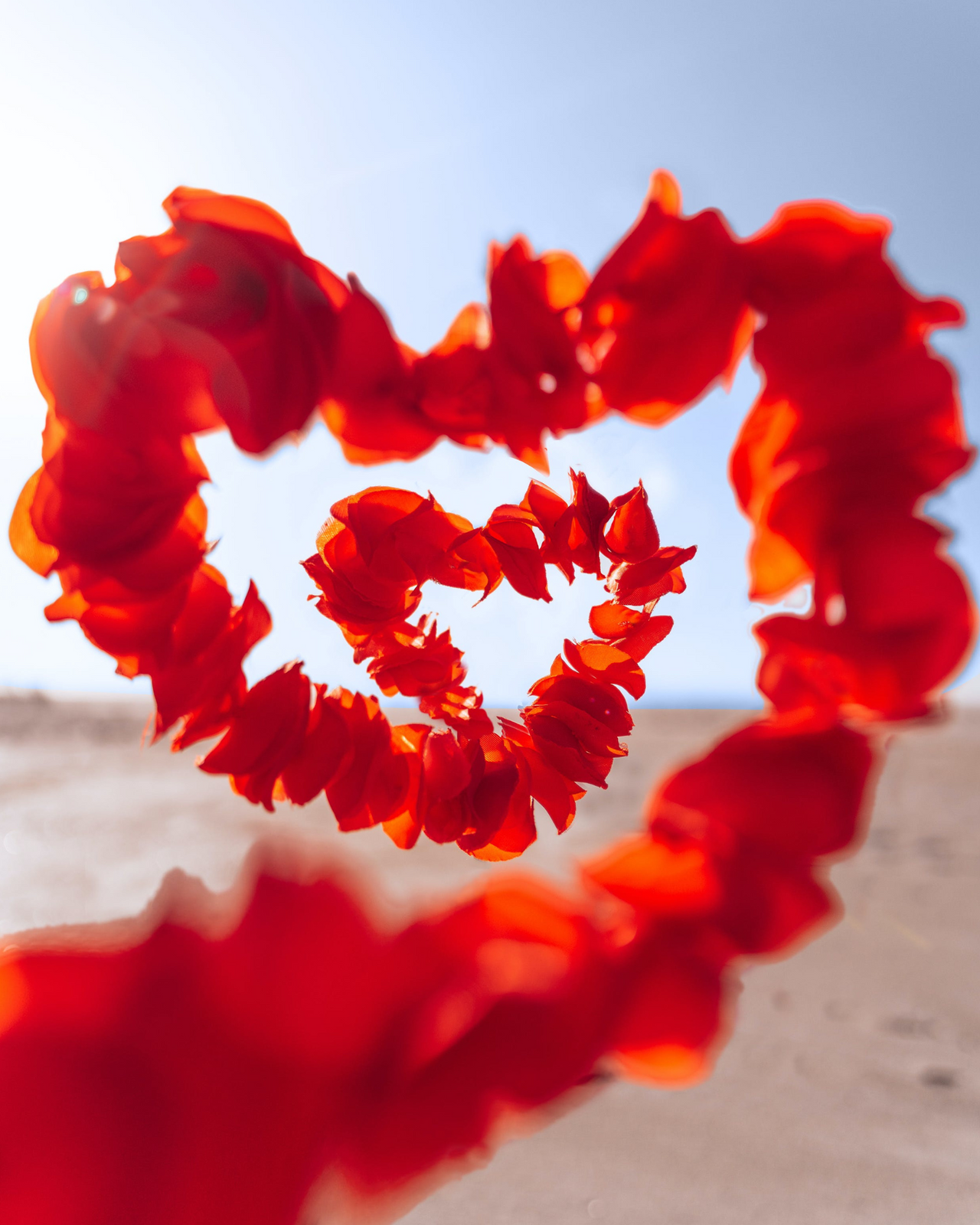 Forgiveness Meditation – Release, Heal, and Open Your Heart